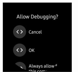 Pixel Watch face to other WearOS watches