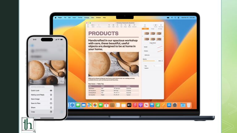 fix copy paste not working on Mac
